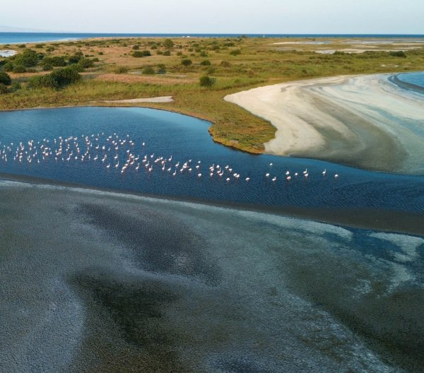 Flamingó Szafari Alykeszen